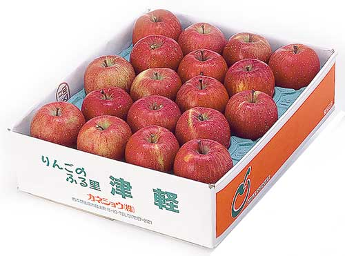 家庭用　サンふじ